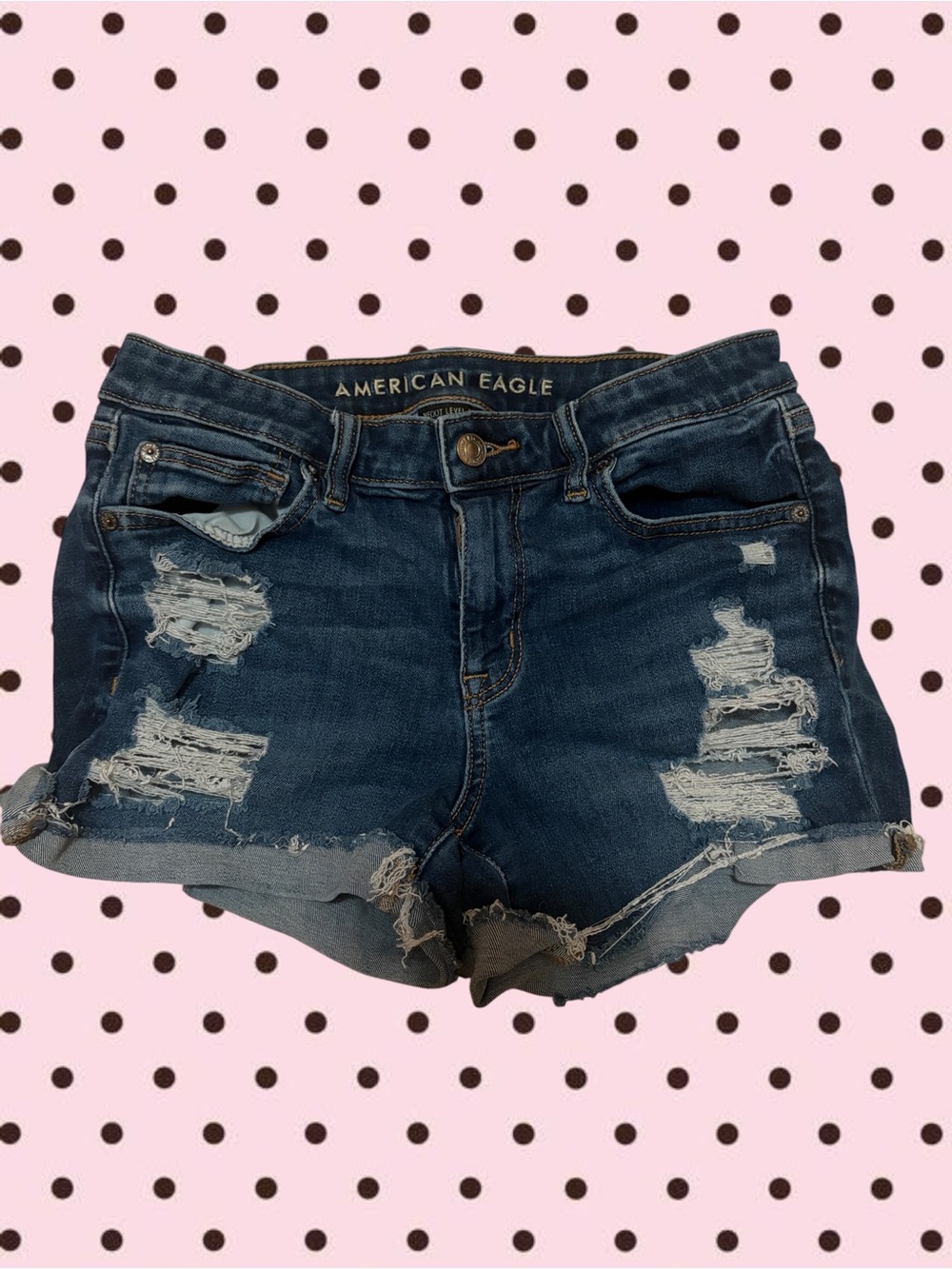 American Eagle Outfitters Dark Indigo Distressed Jean Shorts